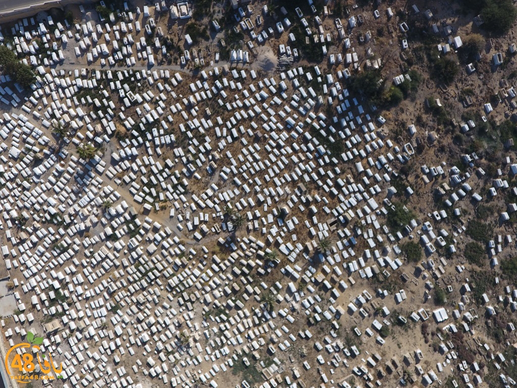 kazakhananna (29).jpg